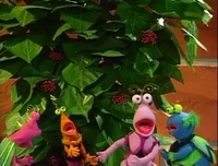 Twiddlebugs-bush.jpg