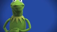 Muppets-com23