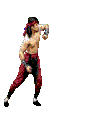 Liu kang kombo mk2