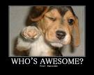 WHOS AWESOME
