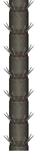 Pit04