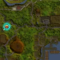 Start falador.jpg