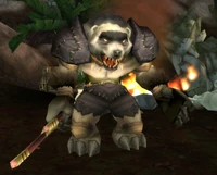 Shaman Jakjek