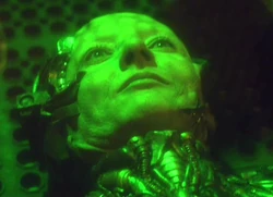 Rooney as Borg