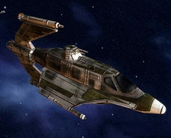 Skipray2.jpg