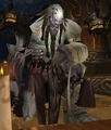 Bethod Feigr.jpg
