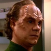 Phlox Icon