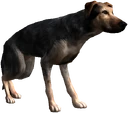 Bestiary Dog full
