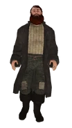 Ary Kinryn image