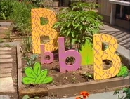 LetterGarden.B