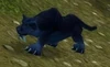 Skullsplitter Panther