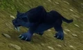 Skullsplitter Panther.jpg