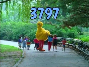 3797