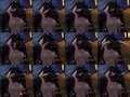 Tauren Female Horns.jpg