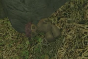 Misfit Toy.jpg