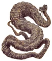 Dagobah Python