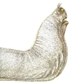 Swamp Slug