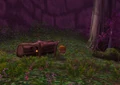 Teldrassil furbolg hovel.jpg