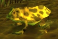 Huge Toad