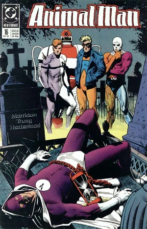 Cover for Animal Man #16