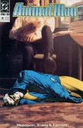 Animal Man Vol 1 26