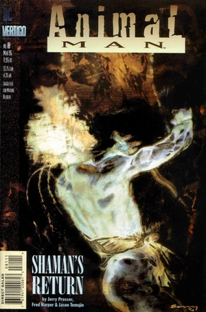 Cover for Animal Man #81