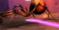 Carrion Spinner