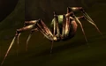 Cavern Crawler.jpg