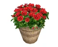 Gartenaccessoires-035-1-