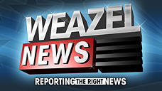 Weazelnews
