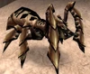 Silithid Hive Drone