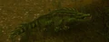 Sawtooth Crocolisk.jpg