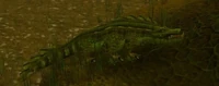 Sawtooth Crocolisk