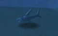 Sand Shark.jpg