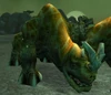 Tamed Kodo