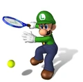 LuigiT