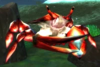 Tidecrawler