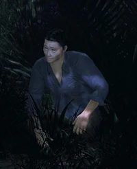 JinVDbetter