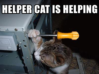 Tech Support Kitten