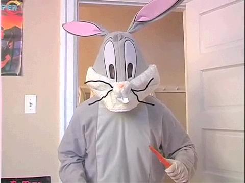 bugs bunny wiki