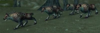 Starving Bonepaw