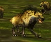 Gordok Mastiff