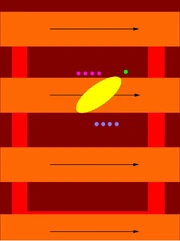 Left wave 2