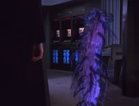 Suspiria Nacene.jpg