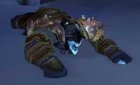 Image of Drom Frostgrip