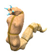 http://images3.wikia.nocookie.net/__cb20090123205838/geneforge/images/2/28/Artila_image1.jpg
