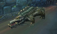 Underbelly Croc