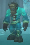 Elder Skywarden