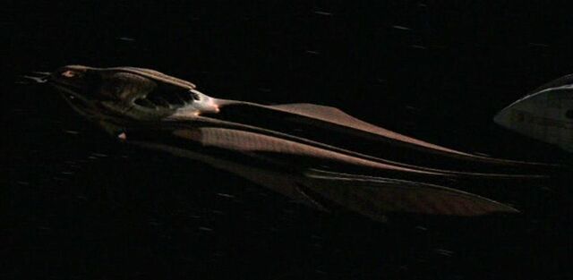 File:Laas as spacefaring lifeform.jpg