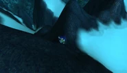 Wintergrasproute6